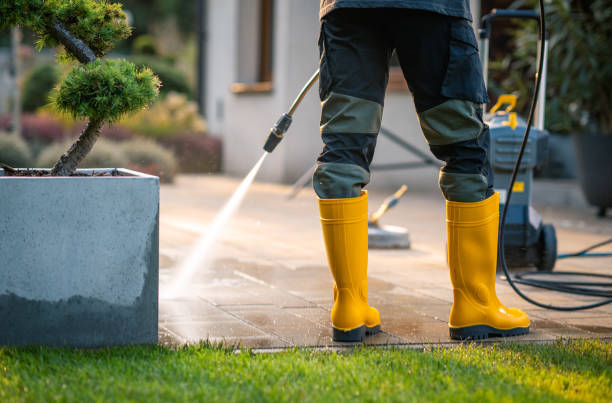 Best Deck Cleaning Services  in Fayetteville, AL